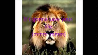 Save Your Life - Newsboys ~Lyrics~