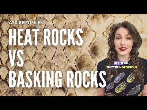 Heat Rocks vs Basking Rocks for Pet Reptiles