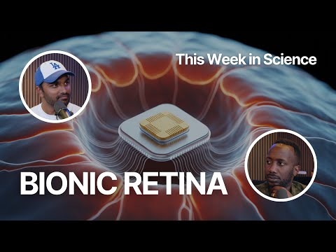 How a Wireless Retinal Implant Is Helping the Blind See Again (FFP Story | EP. 15)