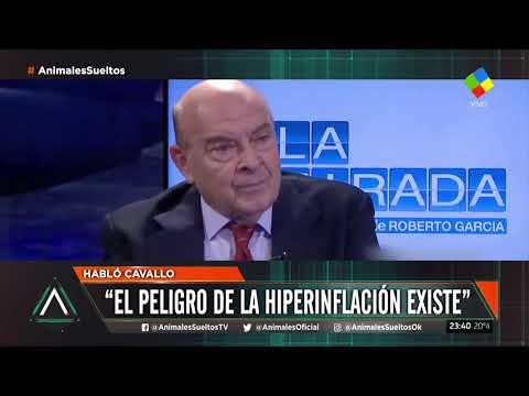 Cavallo recomendó dolarizar salarios y jubilaciones