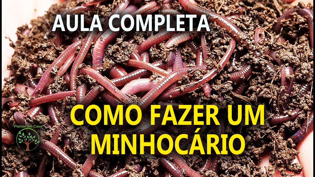 Minhocário, Humus como Fazer em um Mini Curso de Dicas importantes com Ricardo Minhoca