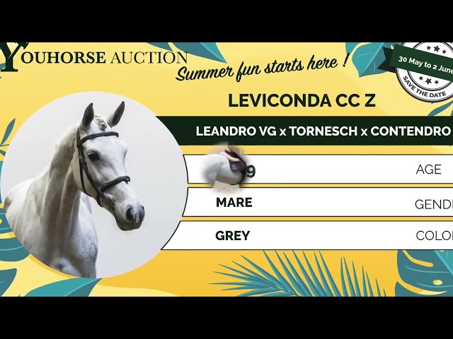 Leviconda showvideo