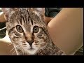 Girl Rubbing Her Pussy