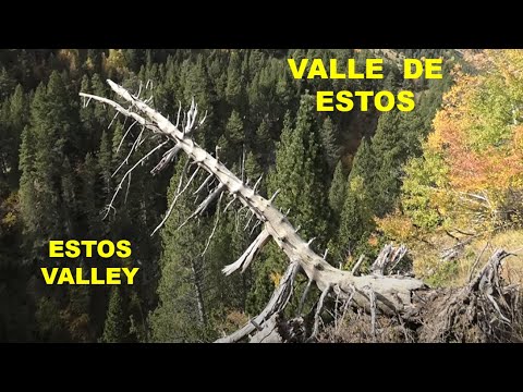 PARQUE NATURAL POSETS MALADETA | VALLE DE ESTOS