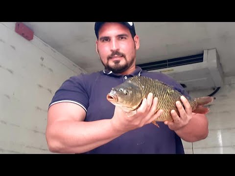 Somn romanesc, Crap si caras.