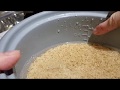 Brown Rice Cooker Download Sound Mp3 and Mp4 Brown Rice Cooker Download Sound Mp3 and Mp4