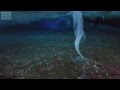 Formation Of A Brinicle Which Freezes Everything It Touches Funny Viral Cool Video Vines 2015