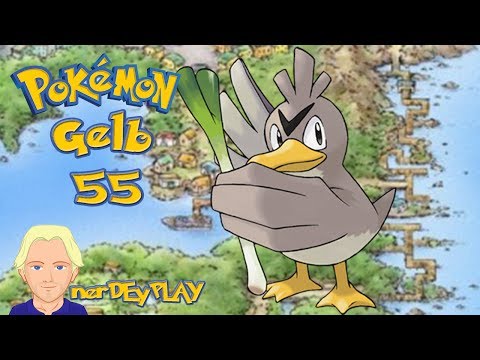 Let's Play Pokémon Gelb #55: Training auf Route 13