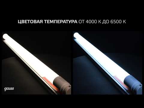 Миниатюра изображения товара Лампа Gauss Elementary G13 12W 4000K / 93022