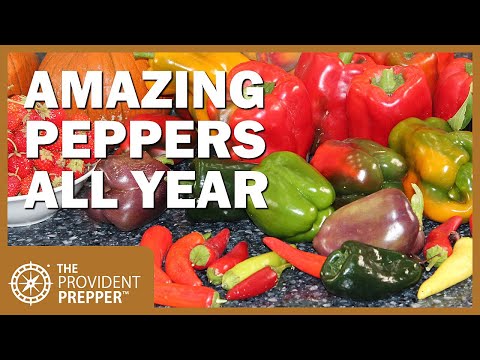 Indoor Garden: How to Grow Amazing Peppers All Year Long