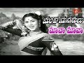 Maava Maava Song Manchi Manasulu Telugu Movie ANR Vaasanti Old Telugu Songs