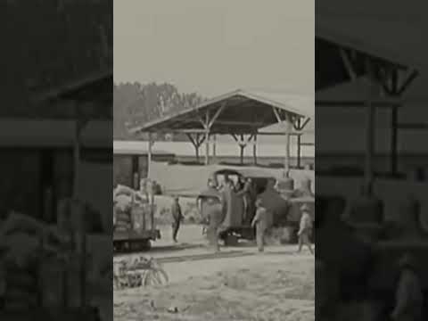 This Is A WW1 Trench Train