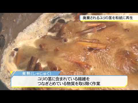 機械工学科 深谷市✕埼玉工業大学 ユリの茎を和紙に再生
