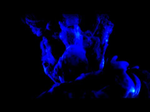 Jason Sidwell - Walk Of The Righteous (4K)