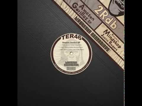 2Rdb - Amazon Gorillaz (Original mix)  ll TIGEREYE RECORDINGS ll