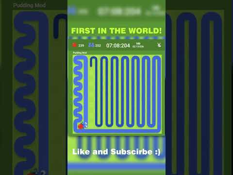 Google Snake Twin Mode in Fast speed