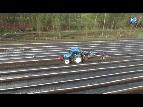 Opruggen aspergeveld vanuit de lucht