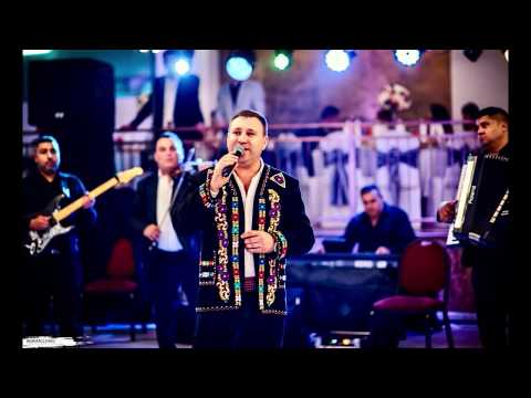 Cornel Cojocaru  Pe poteca din gradina COLAJ LIVE