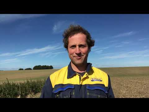 Oilseed Rape establishment 2019 Part 2 : “The Bad”.