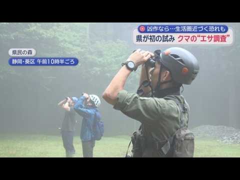 YouTube Video クマはなぜ山を下りるのか?　静岡県が始めた“ある調査”　クマ出没を予測するカギを握るのは木の実