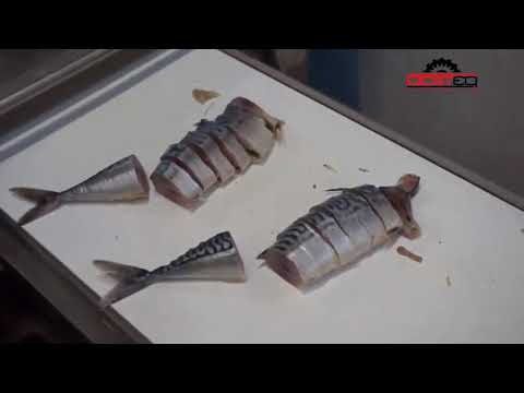 Машина для резки рыбы заказать в России | ООО БЕСТЕК-Инжиниринг