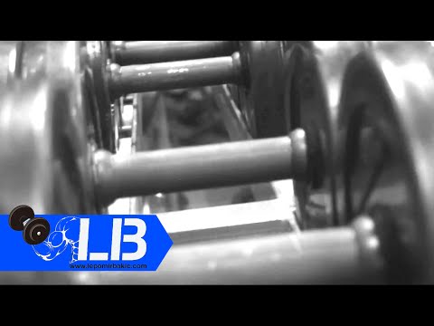 Deniro i Lepomir Bakic motivacioni cd ''Ratnik'' u pripremi