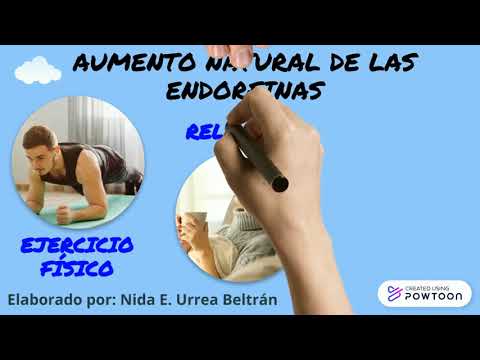 Neurotransmisores: Endorfina