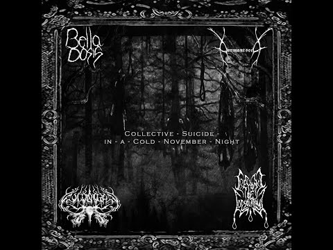 Bella dosis/ dormant seed/ Coldnight/ Beyond of desolation split