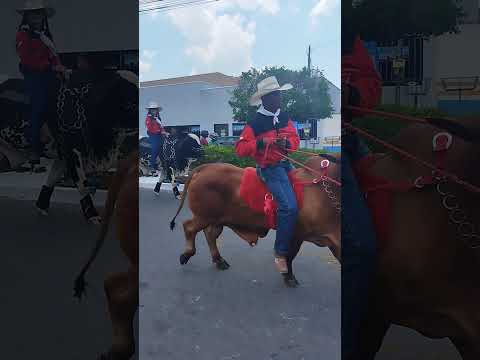muito lindo, cavalgada em muricilândia com deputado Alessandro.