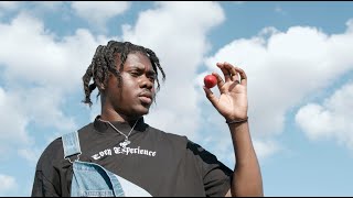 Cover art for Fruit Of My Labor