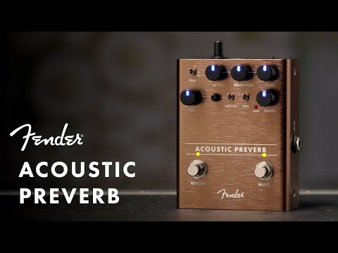 Fender Acoustic Preamp/Reverb Gitarreneffekt