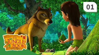The Jungle Book ☆ Mowgli King of the Jungle ☆ 