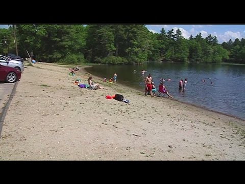 Palmer's hot weather getaway, Forest Lake