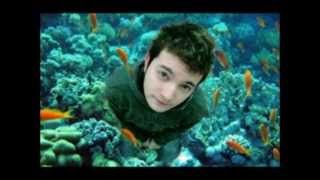 Clap Your Hands Say Yeah - Details Of The War (Dusty Kid Toms Re-Edit)