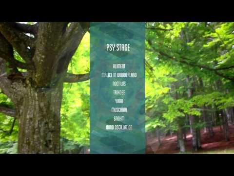 Waha Festival 2015 Location @ Micfalau, Covasna