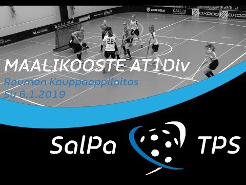 Maalikooste AT1D SalPa - TPS 6.1.2019