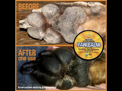 The cure for dry and cracked paws!