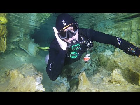 Hand Signals for Training Skills by Sidemounting.com