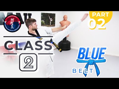 Taekwondo - Blue Belt - Class 2 (Part 2) thumbnail