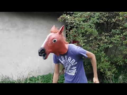 Powrót menela i wypadek na urbexie *Prawie Umarłem*