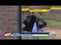 Firebombing Investigation In Livonia
