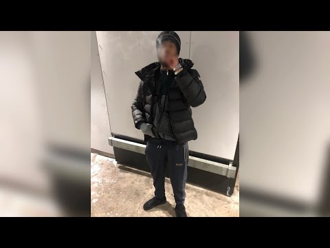 FENDI DINERO - Fiktas