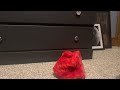 T M X Tickle Me Extreme Friends Elmo Unboxing