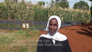 Small Scale Fish Farmers' Post-Training Interviews