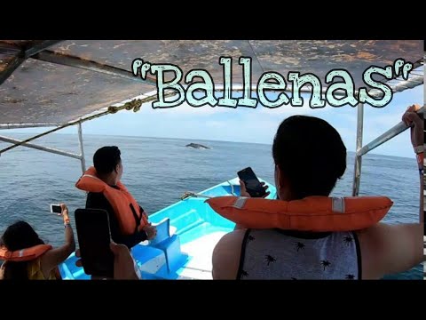 BALLENAS EN GUAYABITOS, PLAYA DEL TORO NAYARIT Y SU MIRADOR, PASEO EN LANCHA.