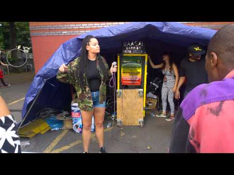 Sasha Steppa - Bristol Carnival 2014