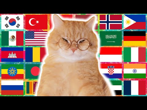 Ay Mi Gatito Miau Miau in 70 Languages Meme
