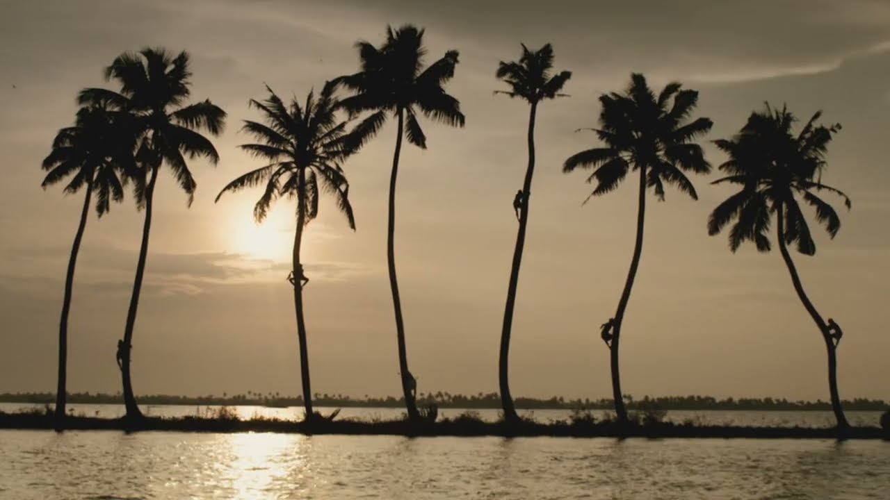 FOOD FOOD BRAND FILM COCONUT