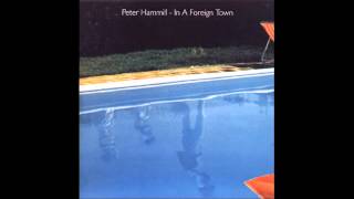 This Book, Peter Hammill