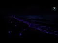 The DEEPEST Healing Sleep | 3.2Hz Delta Brain Waves | REM Sleep Music - Binaural Beats